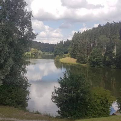 Sommerwanderung am Rehnenmhlenstausee