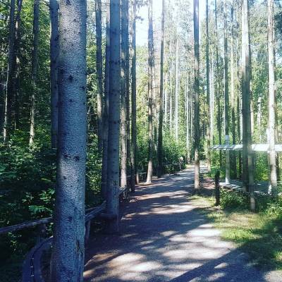 Sommerwanderung am Klotzbach in Bbingen