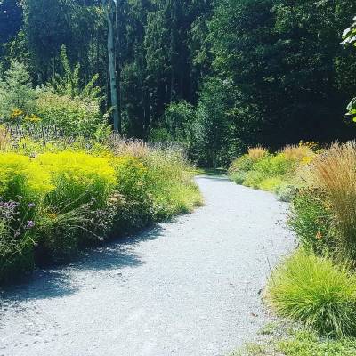 Sommerwanderung im Bbinger Park am alten Bahndamm
